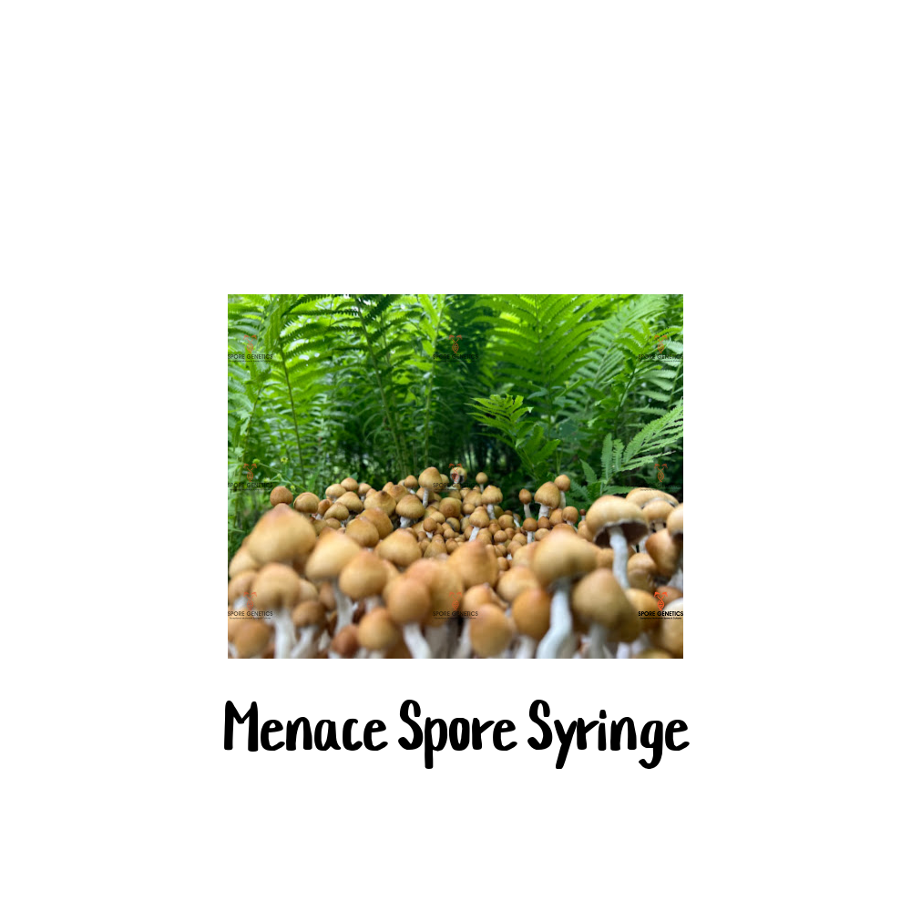 Menace P. Cubensis Spore Syringe