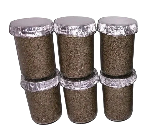 BRF Mushroom Growing Jars