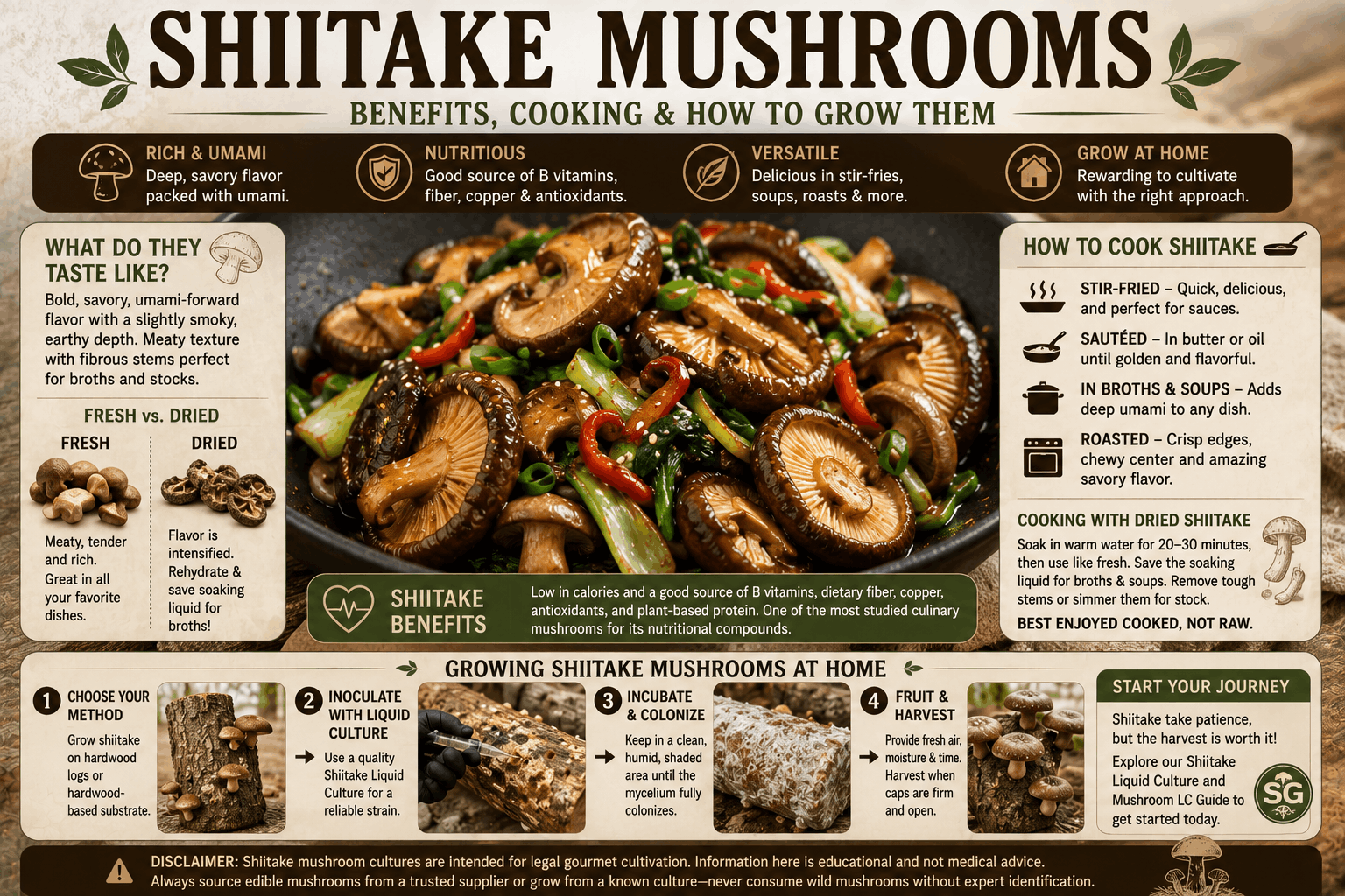 Shiitake mushrooms benefits, cooking, and growing guide Shiitake mushrooms: uses, benefits, and growing tips