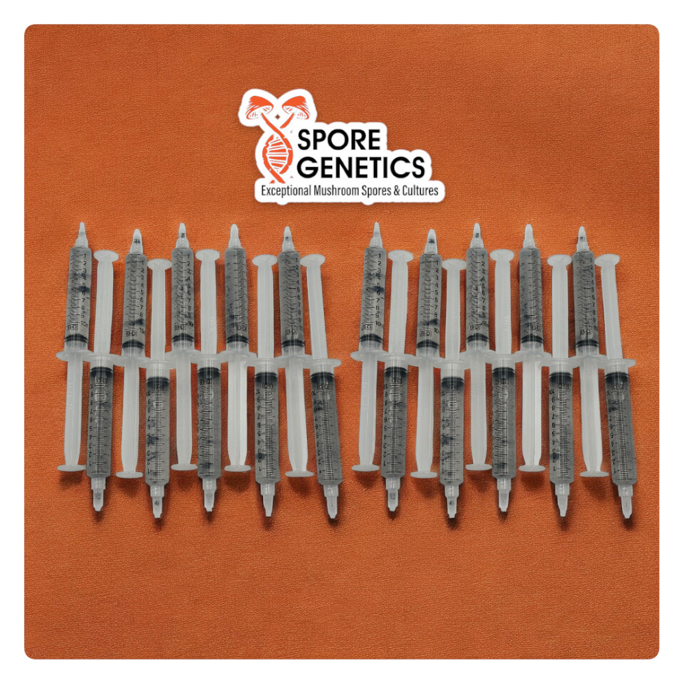 20-Pack 10cc Spore Syringes