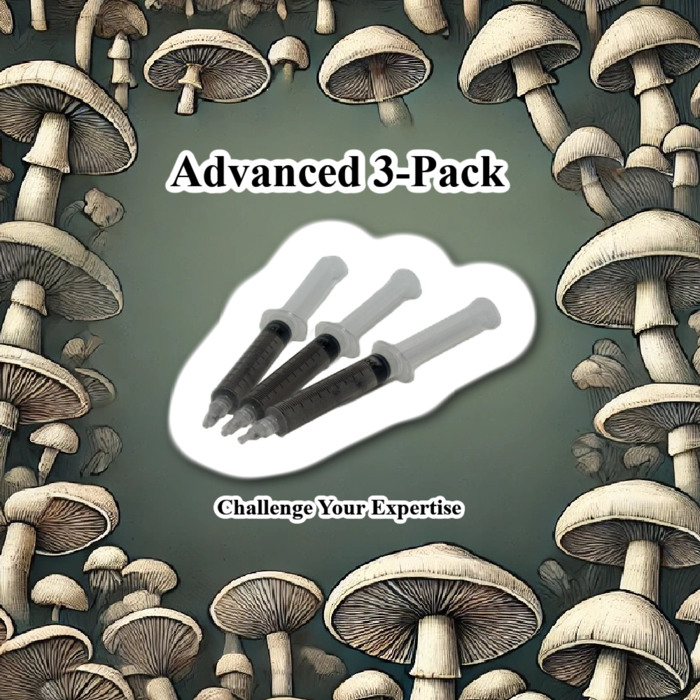 Advanced 3-Pack 10cc Spore Syringes Advanced Spore Syringes, Bull-Run Spore Syringe, Tidal Wave Spore Syringe, Yellow Umbo Spore Syringe, Mycology Advanced Pack, High-Quality Mushroom Spores, Seasoned Mycologist Kit, Contamination-Free Spore Syringes, Complex Mushroom Strains, Spore Genetics Advanced Pack, Mushroom Research Kit, Psilocybe Cubensis Strains, Mycology Research Supplies, Spore Syringe Kit for Advanced Researchers, Safe Shipping Spore Syringes, High-Output Mushroom Spores, Challenging Mushroom Strains, Unique Mushroom Spores, Reliable Mushroom Strains