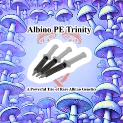 Albino PE Trinity 3-Pack Spore Syringes