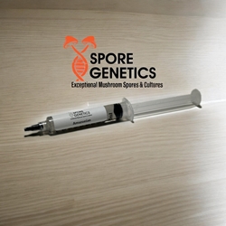 Amazonian 10cc Spore Syringe - SS03