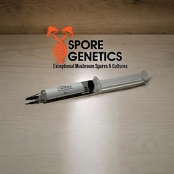B+ 10cc Spore Syringe - SS02