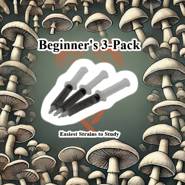 Beginners 3-Pack 10cc Spore Syringes Beginner Spore Syringes, Psilocybe Cubensis Spores, Golden Teacher Spore Syringe, B+ Spore Syringe, PES Amazonian Spore Syringe, Mycology Starter Pack, High-Quality Mushroom Spores, Novice Mycology Kit, Contamination-Free Spore Syringes, Reliable Mushroom Spores, Spore Genetics Beginner Pack, Mushroom Research Kit, Psilocybe Cubensis Strains, Mycology Research Supplies, Spore Syringe Kit for Beginners, Safe Shipping Spore Syringes, High-Output Mushroom Spores, Robust Mushroom Strains, Easy-to-Grow Mushroom Spores, Beginner-Friendly Mushroom Strains