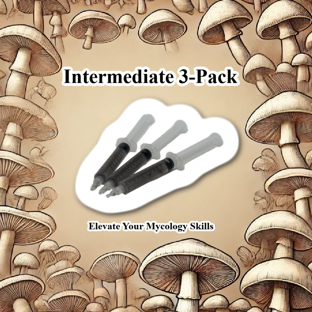 Intermediate 3-Pack 10cc Spore Syringes Intermediate Spore Syringes, Blue Meanies Spore Syringe, PES Hawaiian Spore Syringe, Purple Mystic Spore Syringe, Mycology Intermediate Pack, High-Quality Mushroom Spores, Experienced Mycology Kit, Contamination-Free Spore Syringes, Unique Mushroom Strains, Spore Genetics Intermediate Pack, Mushroom Research Kit, Psilocybe Cubensis Strains, Mycology Research Supplies, Spore Syringe Kit for Experienced Researchers, Safe Shipping Spore Syringes, High-Output Mushroom Spores, Challenging Mushroom Strains, Vibrant Mushroom Spores, Reliable Mushroom Strains