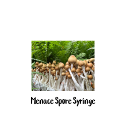 Menace P. Cubensis Spore Syringe