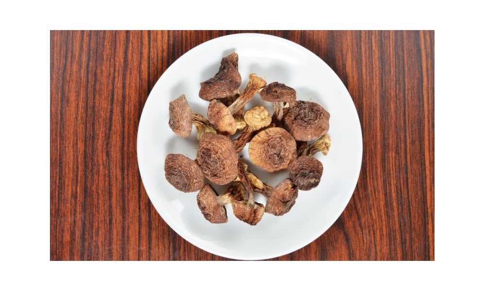 4 Mushrooms That Can Boost Your Immune System